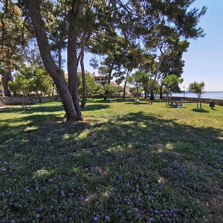 Nina Deluxe Superior 5 Star Apartment, Your Piece Of Heaven By The Sea & Park Novigrad  Екстер'єр фото