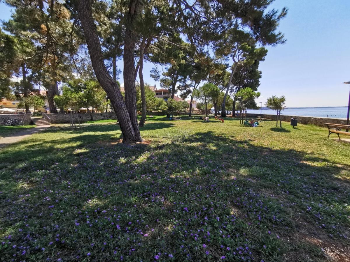 Nina Deluxe Superior 5 Star Apartment, Your Piece Of Heaven By The Sea & Park Novigrad  Екстер'єр фото