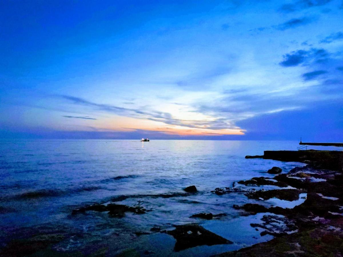 Nina Deluxe Superior 5 Star Apartment, Your Piece Of Heaven By The Sea & Park Novigrad  Екстер'єр фото