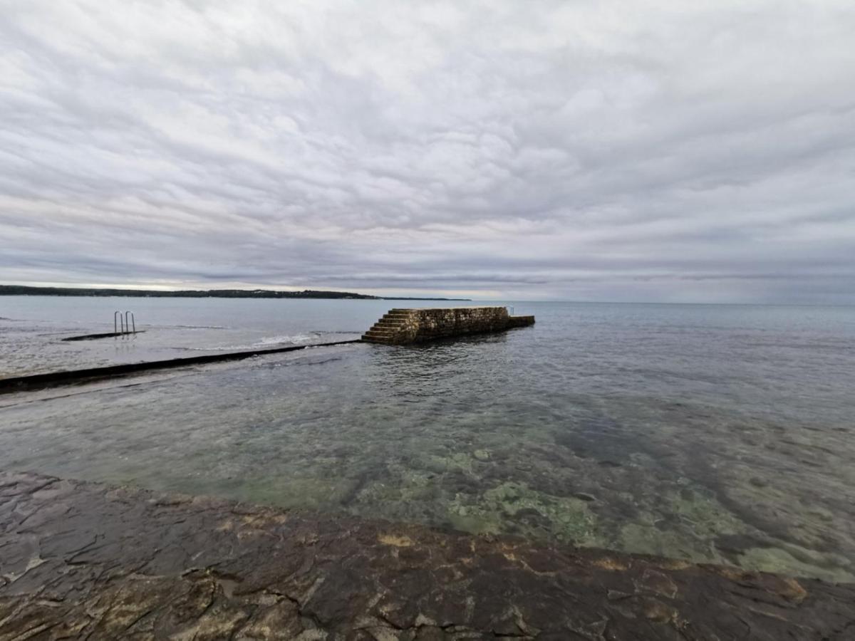 Nina Deluxe Superior 5 Star Apartment, Your Piece Of Heaven By The Sea & Park Novigrad  Екстер'єр фото