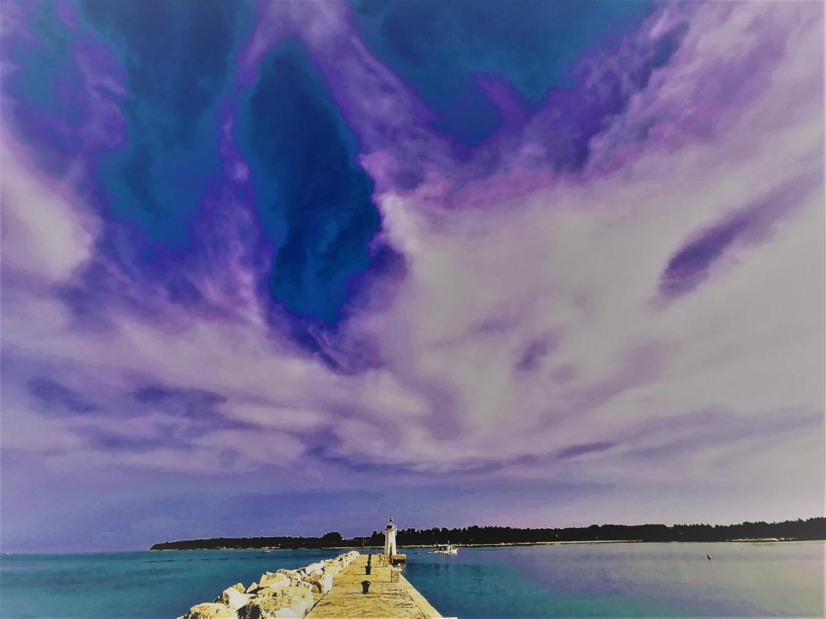 Nina Deluxe Superior 5 Star Apartment, Your Piece Of Heaven By The Sea & Park Novigrad  Екстер'єр фото