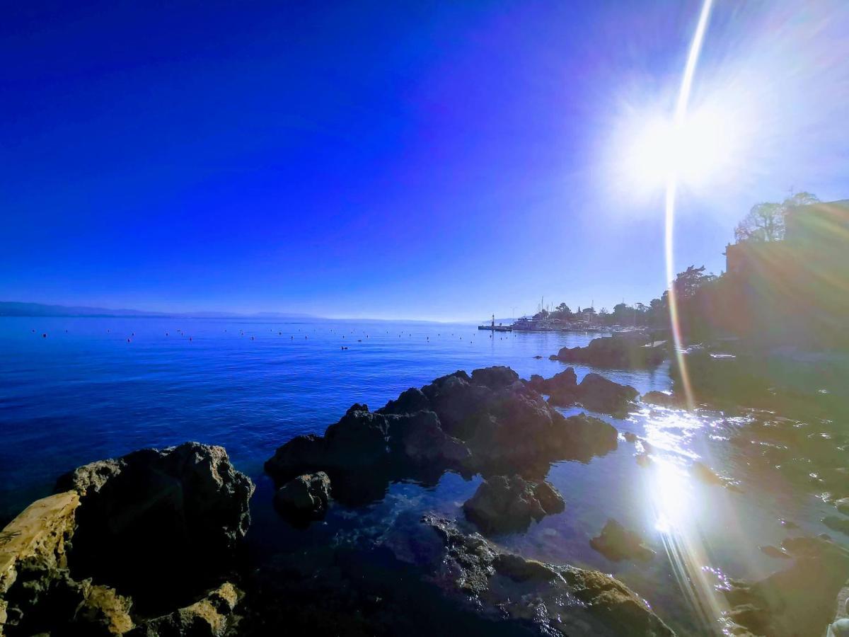 Nina Deluxe Superior 5 Star Apartment, Your Piece Of Heaven By The Sea & Park Novigrad  Екстер'єр фото